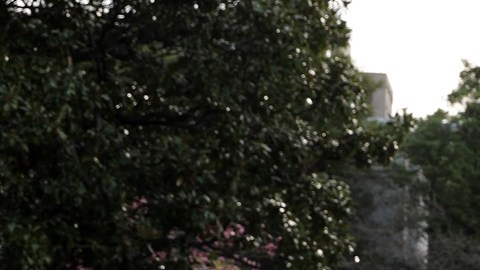 El presidente Biden enfrenta problemas de aprobación.