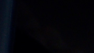 Fanáticos de Foo Fighters lloraron la muerte de Taylor Hawkins