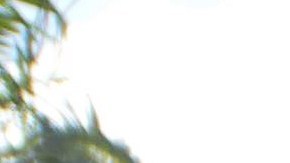 Haitianos en Republica Dominicana