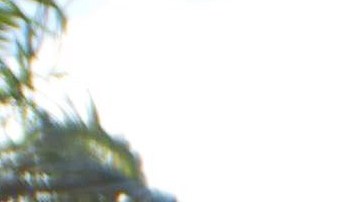 Haitianos en Republica Dominicana