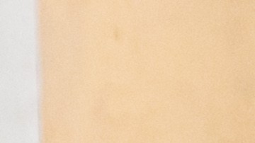 Toni Costa y Alaia Costa