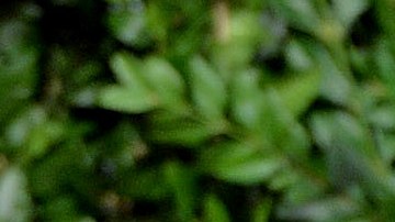 David Beckham y Victoria Beckham viven al norte de Londres