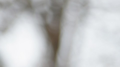 Eric Greitens