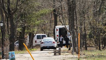 Los cuatro cuerpos de los adolescentes fueron hallados en un parque de Central Islip.