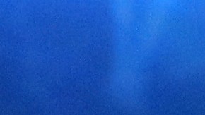 Wladimir Klitschko (L) y Vitali Klitschko (R) forman parte de la defensa de Ucrania en el conflicto ante Rusia.