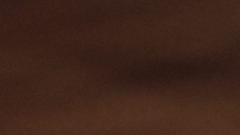 Pau Donés falleció el 9 de junio de 2020