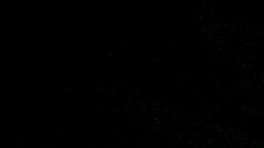 El cocodrilo medía casi 5 pies de largo.