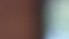 Hamburguesa de restaurante de comida rápida