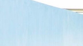 Adamari López y Toni Costa con Alaïa