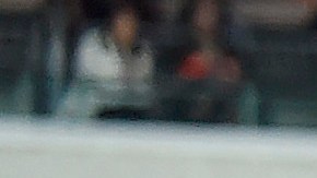 Cincinnati Bengals y Cleveland Browns eligieron a sus jugadores franquicia