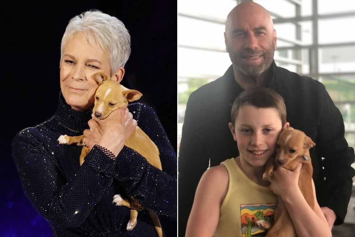 John Travolta y su hijo Ben adoptaron un perro, pero no cualquier perro: eligieron a Mac N Cheese, quien apareció en los brazos de Jamie Lee Curtis en los Oscar 2022.
