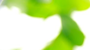 Agua con jugo de limón