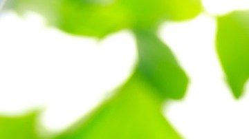 Agua con jugo de limón