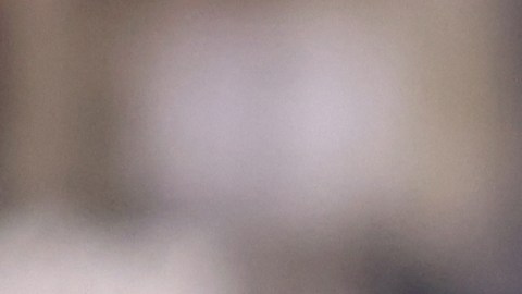 Kurt Zouma será procesado por maltrato animal