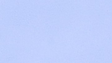 Joan Laporta admite que no se arrepiente de la salida de Leo Messi