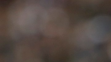 Argentina v Brazil - FIFA World Cup Qatar 2022 Qualifier