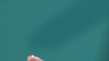 President Lopez Obrador Daily Briefing