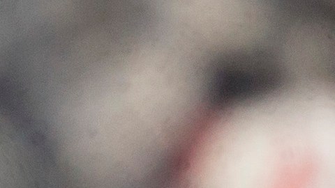 MLB y MLBPA se reunieron nuevamente pero esta vez en Nueva York