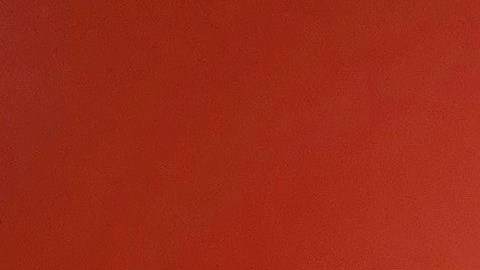 El Dr. Ashwin Vasan,  comisionado de Salud.