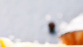 Pescado graso-Salmón