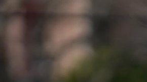 Adams dijo que quiere ver un mayor énfasis en el aprendizaje experiencial este verano.