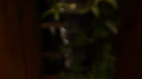 María del Refugio Abarca, Doña Cuquita.