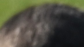 Personalidades del fútbol de Italia exigen cambios profundos tras no clasificar al Mundial