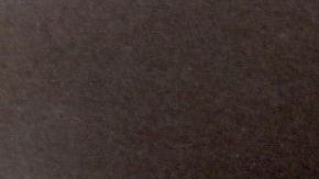 Selena Quintanilla (1971 - 1995).