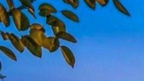 La nueva mansión de Sylvester Stallone está en Hidden Hills