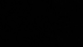 Té de semillas de hinojo