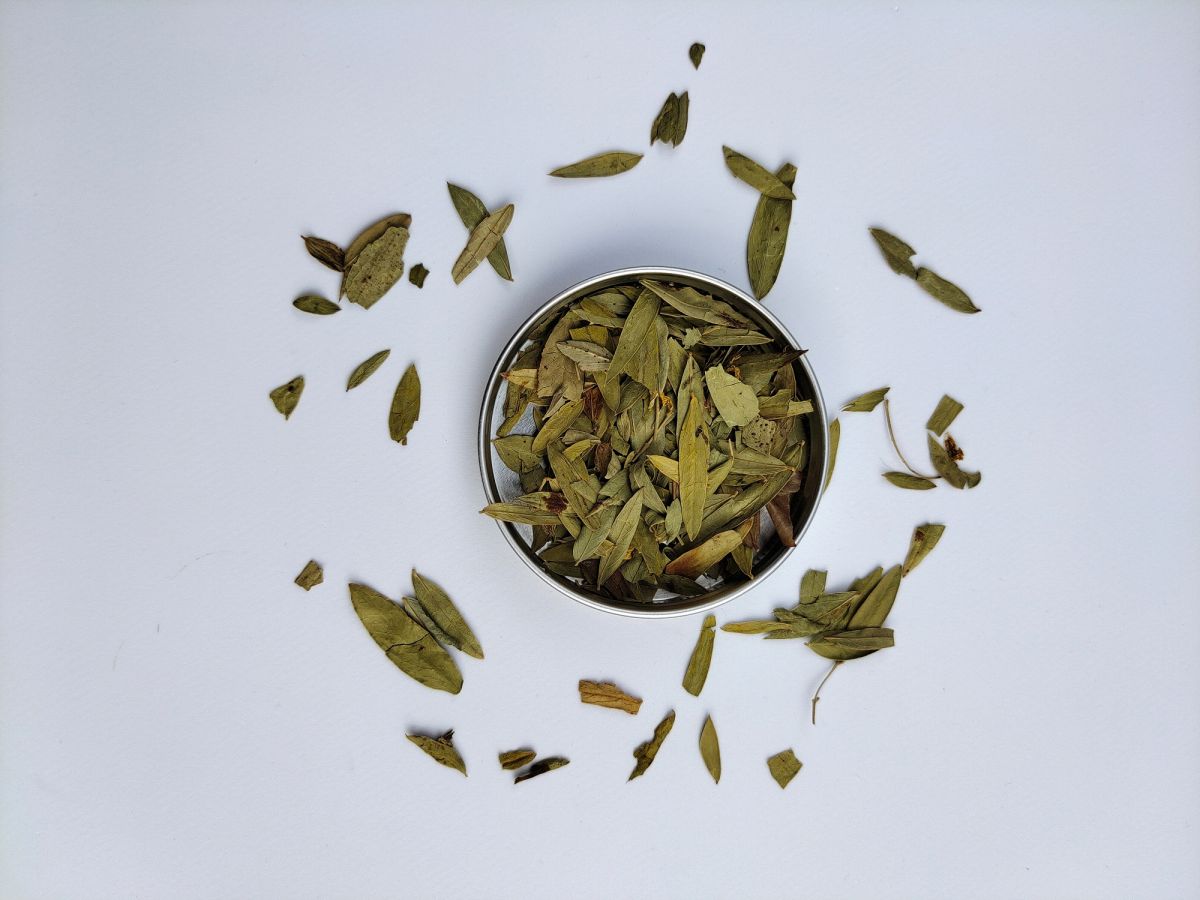 Té de Senna