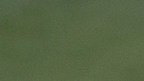 Brazil Training Session