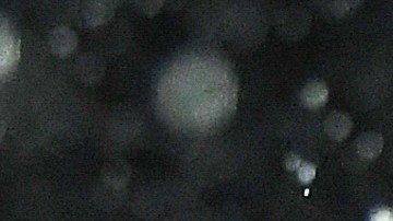 Real Madrid tiene fe en la recuperación de Toni Kroos