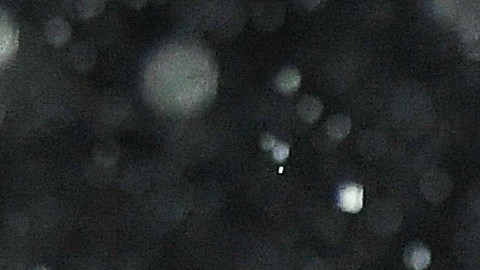 Real Madrid tiene fe en la recuperación de Toni Kroos