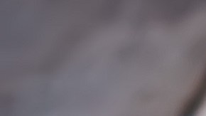 Verduras crucíferas