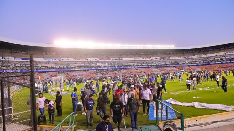 Gallos Blancos de Queretaro