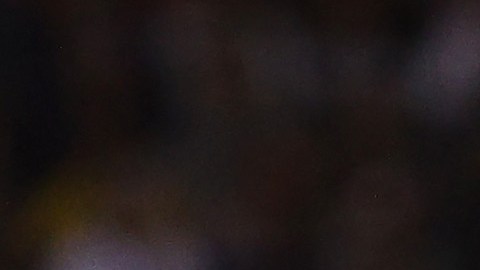 Wander Franco fue víctima de una broma de los Rays de Tampa Vay