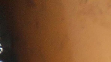 Activistas de Greenpeace se encadenaron a las retroexcavadoras.