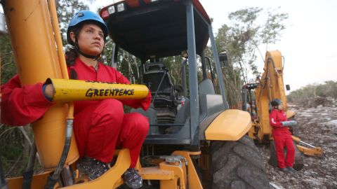 Activistas de Greenpeace se encadenaron a las retroexcavadoras.