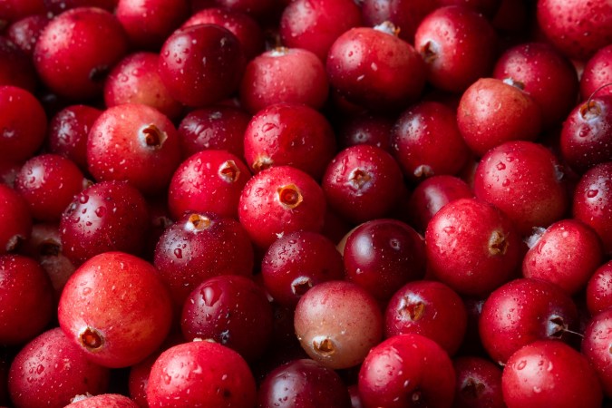 Blueberries