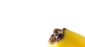 Bananas