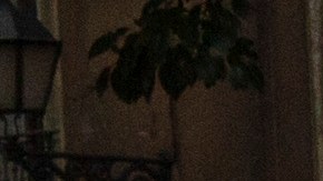 Día Internacional de la Mujer 2022: qué significan los colores de la bandera feminista interseccional