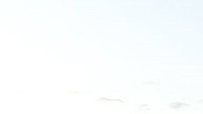 Sicarios asesinaron a más de una decena de personas en México.