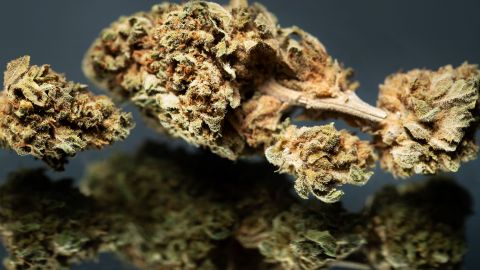 Cannabis.