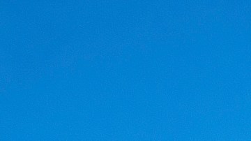 Criatura extraña sydney