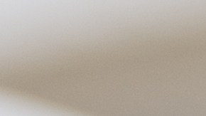 Demencia y Alzheimer