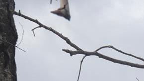 Destrucción Ucrania