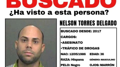 El Burro fugitivo federal