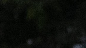 Migrantes Puerto Rico.