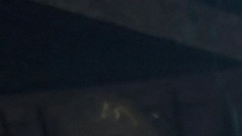 Palenque de Gallos México.